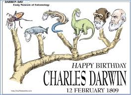darwin